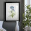 Blue Lived Botanical I - Cadre photo, reproduction d'art sur papier-847046997-847046996