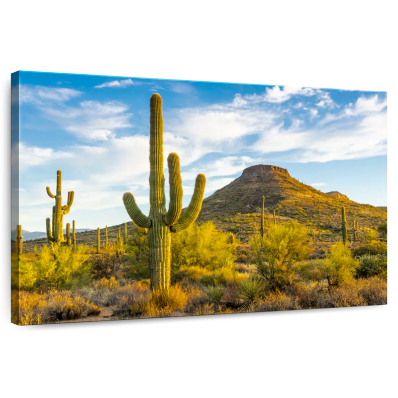 Alvord, Arizona, désert, soleil, H 8 po x l 12 po