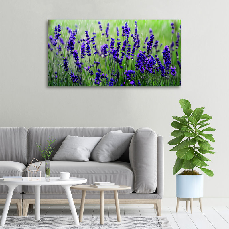Lavender - Wrapped Canvas Print