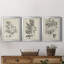 «Antique Black and White Botanical IV», ensemble de 3 peintures sur toile encadrées-508101477-508101478