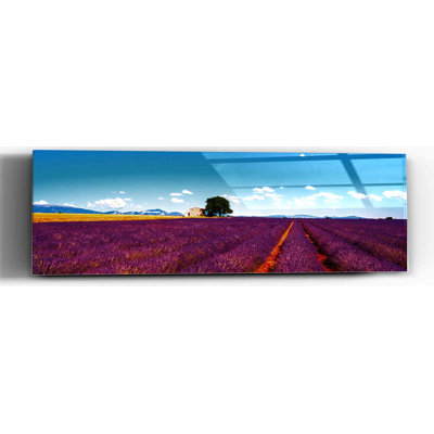 "Field of Lavender" in a High Gloss Acrylic Wall Art, 60" x 20"