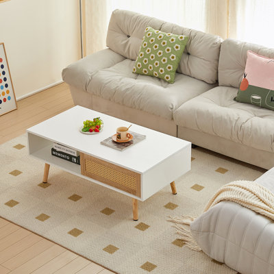 Table basse en rotin, porte coulissante pour le rangement, pieds en bois massif