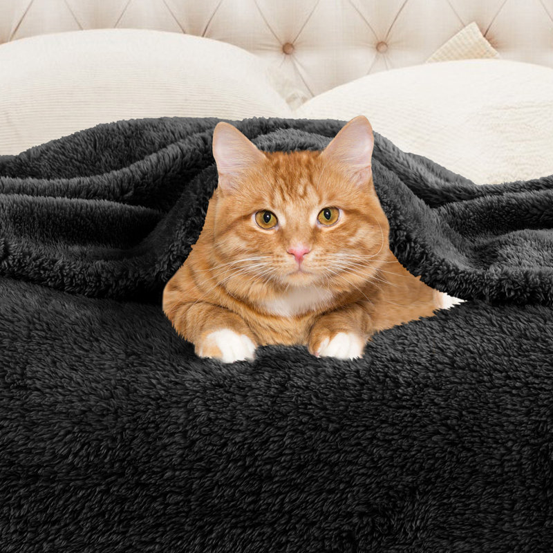 Black Reversible Fleece and Wool Throw Blanket