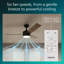  Ventilateur de plafond d'intérieur à DEL à 3 pales de 52 po à intensité variable en bois foncé avec lumière vive 3CCT, télécommande à 6 vitesses, moteur à courant continu réversible et minuterie, tiges descendantes de 5 po / 10 po-1185481941-1185481947