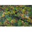 Northwest Bouquet #3 Print by John Smither