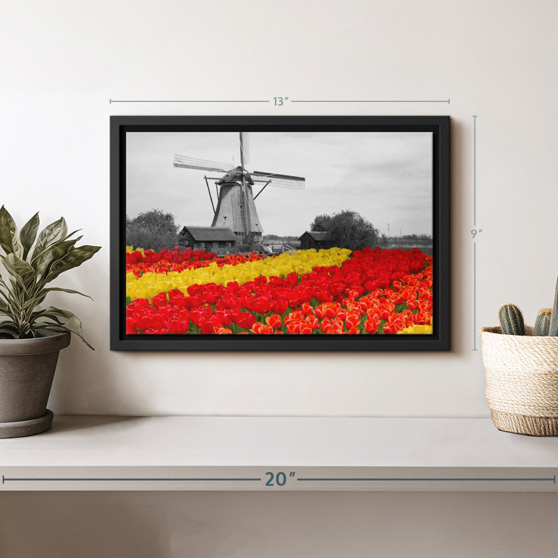 «Windmill Tulip Pop», reproduction sur toile, H 13 po x l 9 po