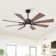 Lisa 60'' Ceiling Fan with LED Lights