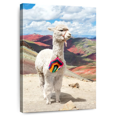 Brampt couleurs du Pérou - Alpaca blanc Palcoyo