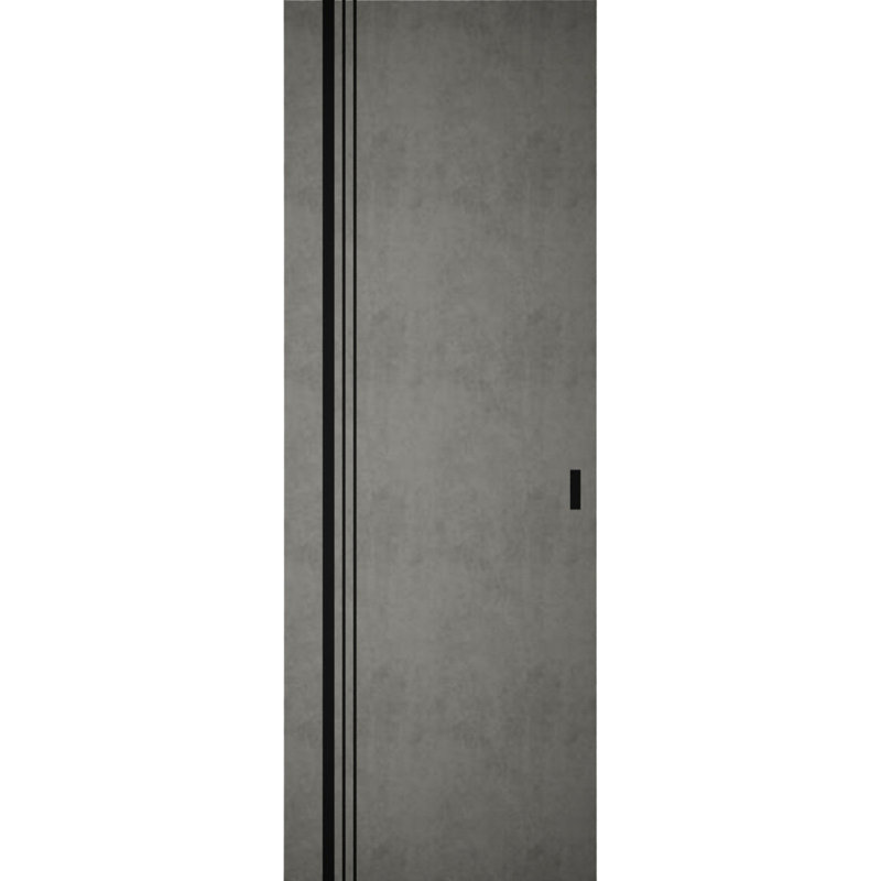 Grange cachée | Planum 0011 | Portes robustes à finition robuste et modernes | Ensemble coulissant Magic, 42 po x 96 po