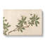 Flowers Of The Four Seasons Vol.3 by Shen Zhou - Wrapped Canvas Painting-55363967