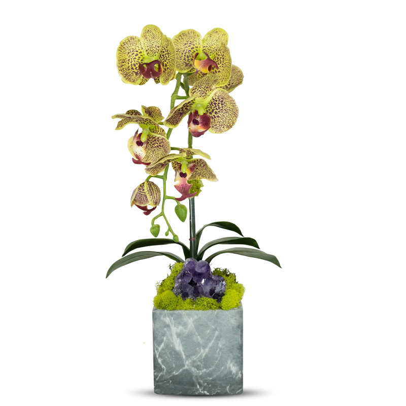 Artificial Orchid in Planter