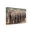 Art sur toile éléphant, Bob Bob Langrish-104134997