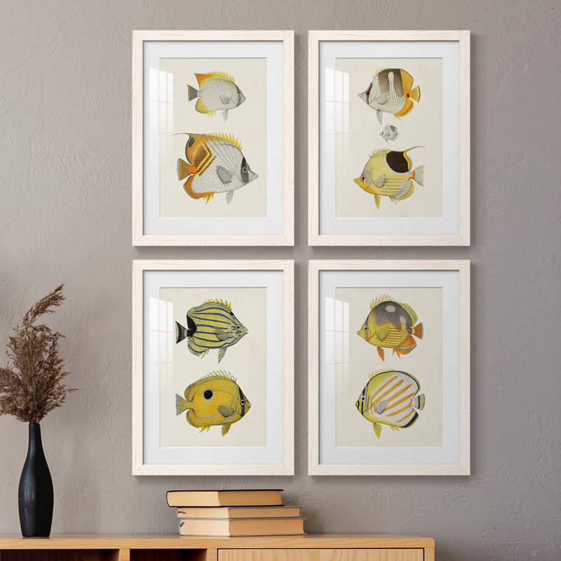 «Yellow & Gray Fish I», ensemble de 4 reproductions de cadres photo, Blanc, H 20 po x l 68 po x P 1,5 po