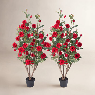 Ashwell UV Resistant Rose Tree