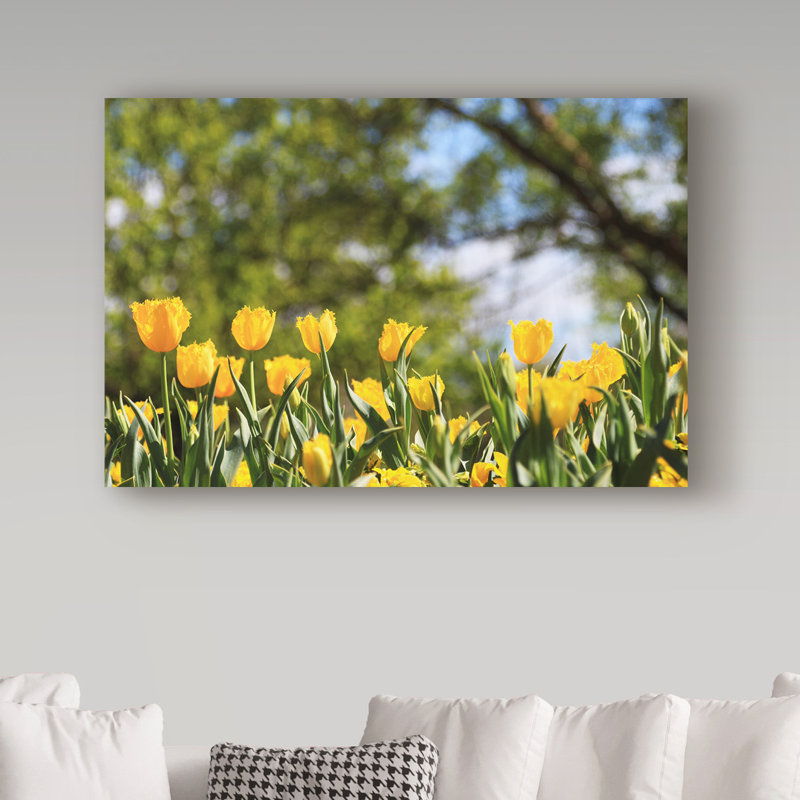 « yellow tulipes », reproduction de photo sur toile tendue, H 12 po x l 19 po x P 2 po