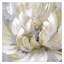 «Burst of Spring Gold», reproduction de peinture acrylique sur toile tendue-1019538857