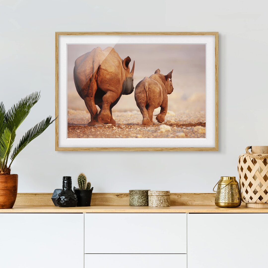 Gerahmtes Poster Wandering Rhinos