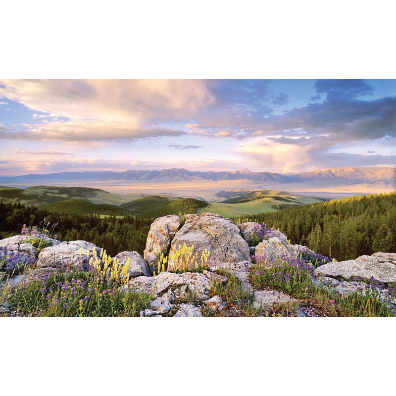 Landscape & Nature Non-Wall Damaging Window Decal, 60" H x 120" W x 0.02" D