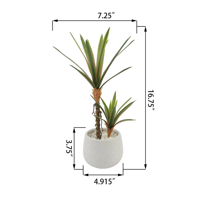 Céramique Real-Touch Yucca