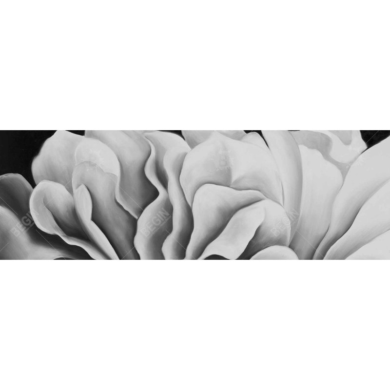 «Beautiful Black and White Flower» sur toile