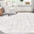 Malayna Oriental Indoor Rug
