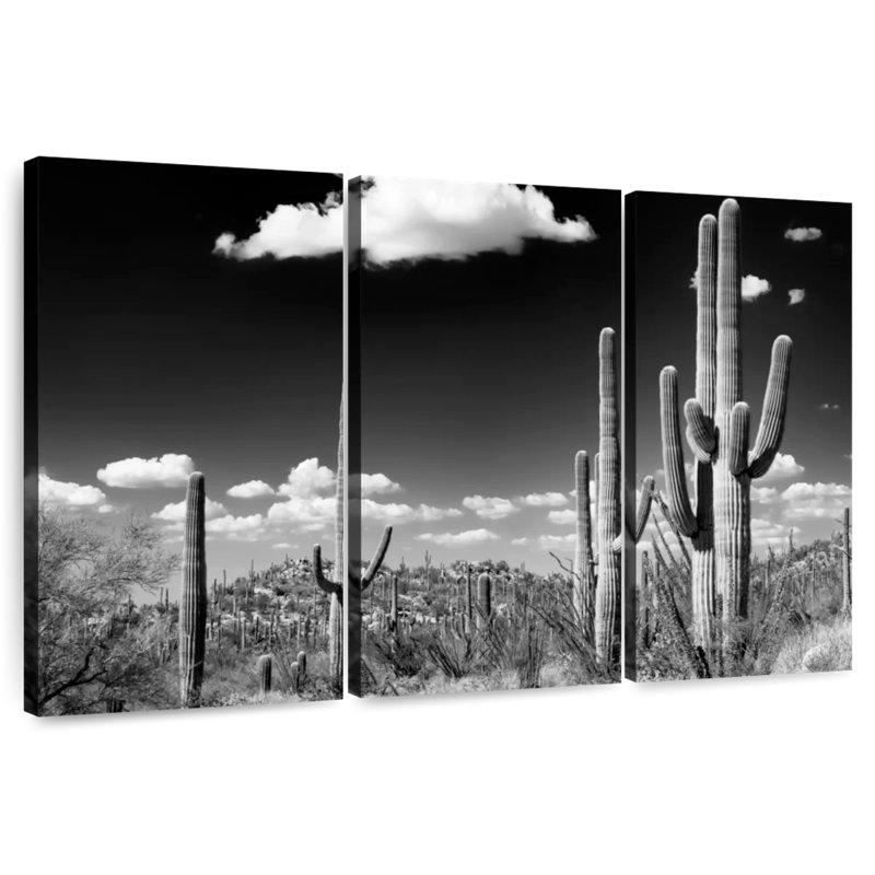 Harnek Saguaro Cactus Desert, 28" H x 45" W