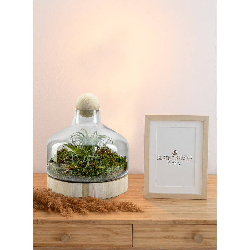 Vase de table en verre Valena, Grand