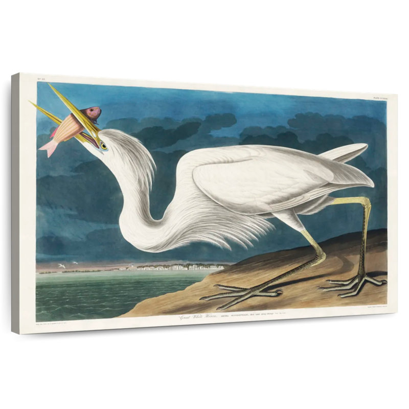 Brampt Great White Heron, 32" H x 48" W