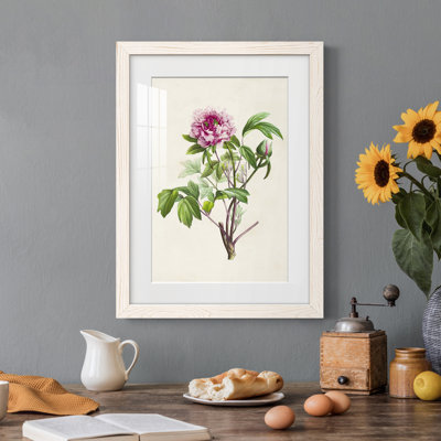 «Pretty Botanicals V», cadre photo