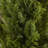 Faux Cedar Tree in Pot-33247202