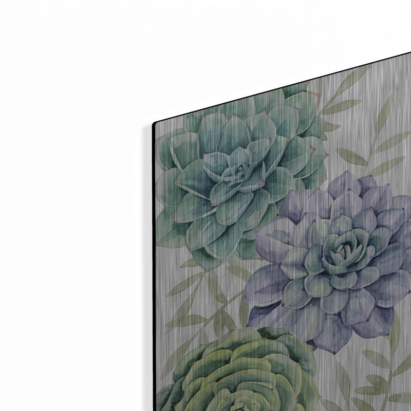 «Succulent Collection B» par Grace Popp, H 24 po x l 12 po