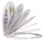 Dejanna Soft Close Elongated Standard Toilet Seat