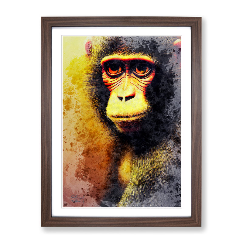 XV1022-5149X Monkey No.1 - Single Picture Frame Painting, 64cm H x 46cm W x 2cm D, Walnut