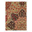 Oriental Area Rug