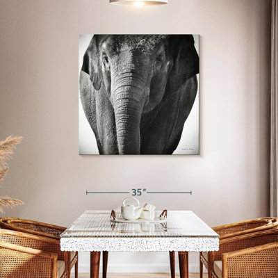 Brampt Elephant BW III