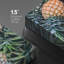 Ananas tropical, plage, ananas frais, nourriture et cuisson, photographie de cuisine, décoration murale rustique-98161160
