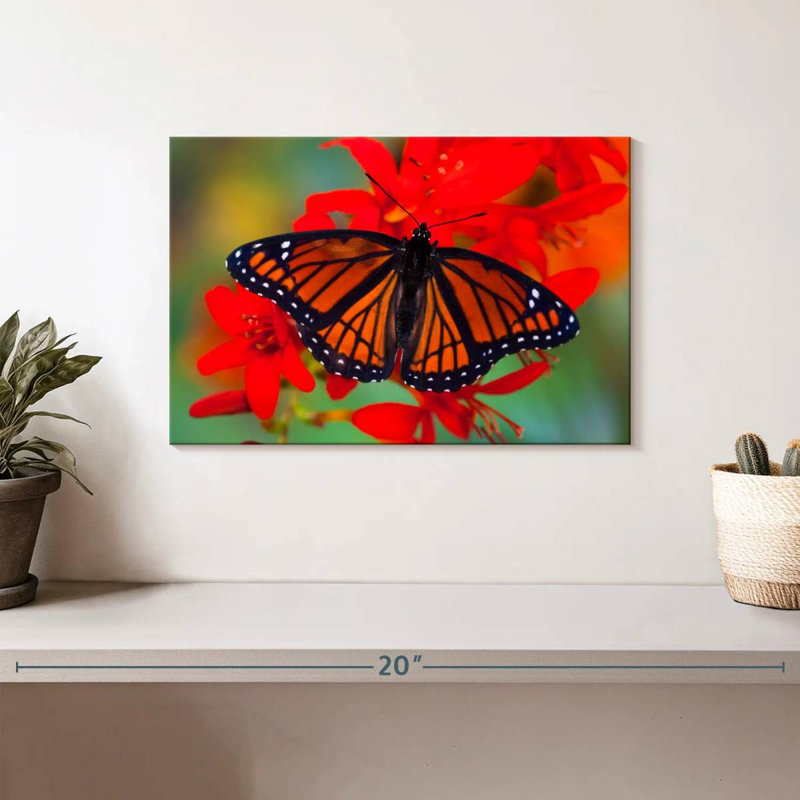 «Viceroy Butterfly» imitant le papillon monarque
