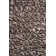 Tapis noir/gris Illings