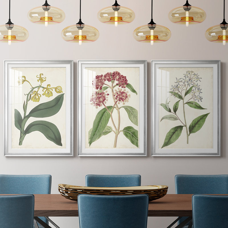 Antique Botanical Collection X - reproduction sur mesure encadrée de qualité supérieure - 3 pièces, H 21 po x l 30 po
