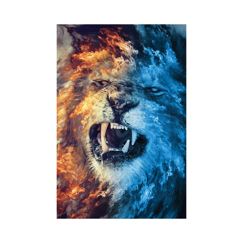 Fire And Ice by Paul Haag - Wrapped Canvas Print, 30.48cm H x 20.32cm W x 1.91cm D