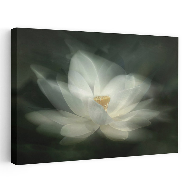 Dashiell Contemporary Art Abstract Peaceful Serene Lily Lotus Flower Summer Wall Art - Wrapped Canvas Print