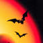 Toile d'Halloween 19,75 po x 19,75 po