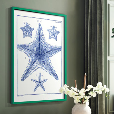 Blue Sea Stars VIII Framed Print - Solid Wood