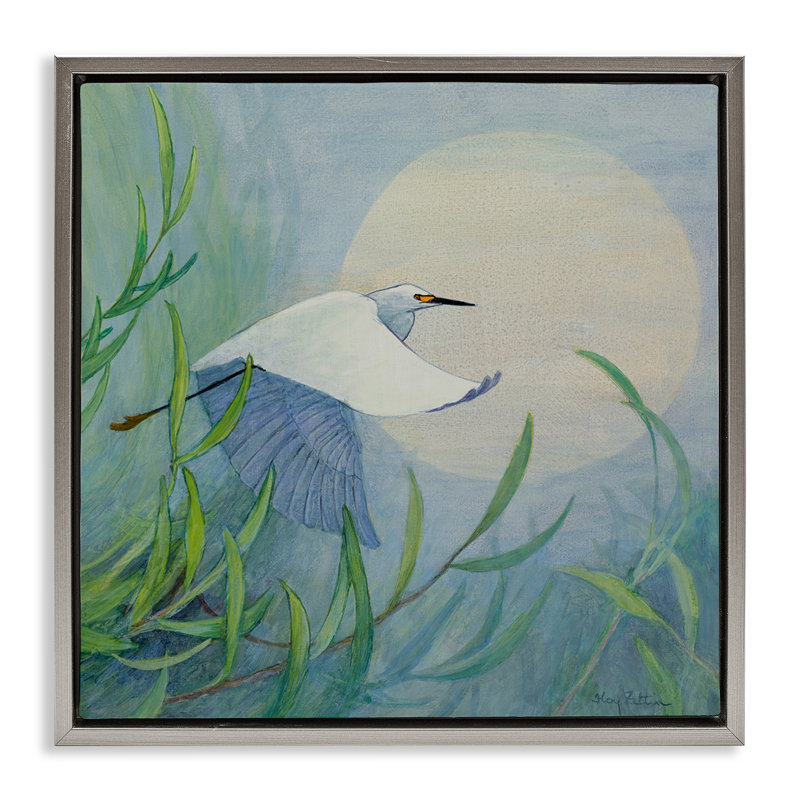 «Soaring Snowy Egret», toile par Floater encadrée, conception par Floy Zittin, H 25 po x l 25 po, Cadre flottant gris lustré