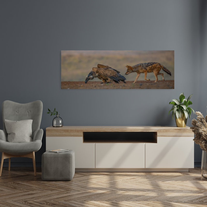 African Vulture Jackal by Peet Van Den - Wrapped Canvas Panoramic Print, 121.92 cm H x 40.64 cm W