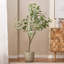 Bonsaï artificiel en feuilles d'eucalyptus-2139249135