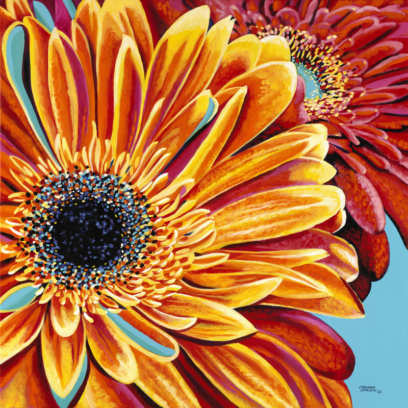 Colour Bursts II by Carolee Vitaletti - Wrapped Canvas Painting, 76cm H x 76cm W