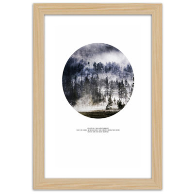 Forest In The Fog - Single Picture Frame Print