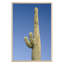 Buckeye, Arizona 7 Print by August Studios