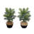 3ft. Artificial Areca Palm Tree with Handmade Basket DIY KIT